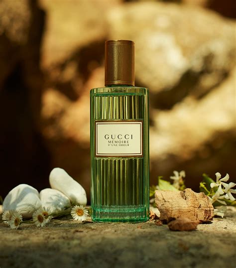 gucci memoria di un odore|gucci memory of one odeur.